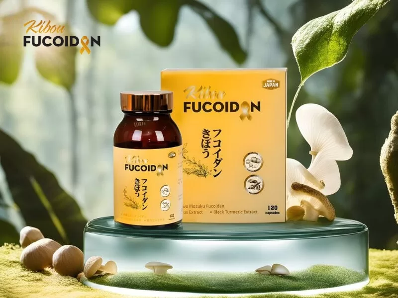 Kibou Fucoidan - Fucoidan 3 thành phần, tối ưu hiệu quả cho giai đoạn hoá xạ trị Kibou Fucoidan - Fucoidan 3 thành phần, tối ưu hiệu quả cho giai đoạn hoá xạ trị