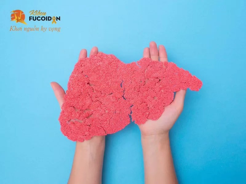 Ghép gan là một phẫu thuật nhằm thay thế gan bệnh bằng một phần hoặc toàn bộ lá gan khỏe mạnh