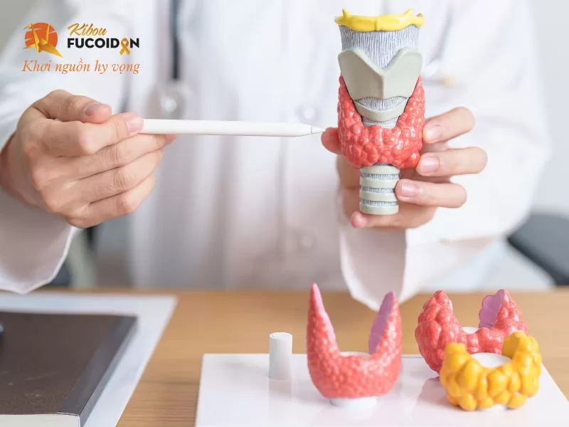 Việc tầm soát thường được khuyến nghị cho những người có nguy cơ cao Việc tầm soát thường được khuyến nghị cho những người có nguy cơ cao