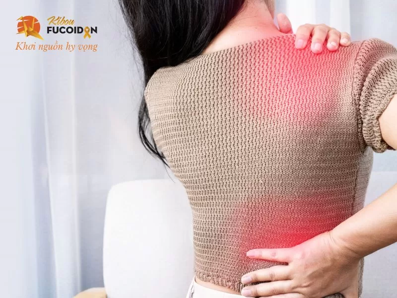 U xơ tử cung có thể gây đau lưng U xơ tử cung có thể gây đau lưng
