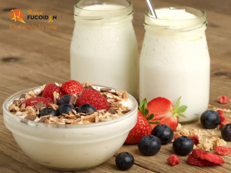 Sữa chua chứa probiotic giúp cân bằng hệ vi sinh đường ruột, hỗ trợ tiêu hóa và tăng cường miễn dịch cho đại tràng Sữa chua chứa probiotic giúp cân bằng hệ vi sinh đường ruột, hỗ trợ tiêu hóa và tăng cường miễn dịch cho đại tràng