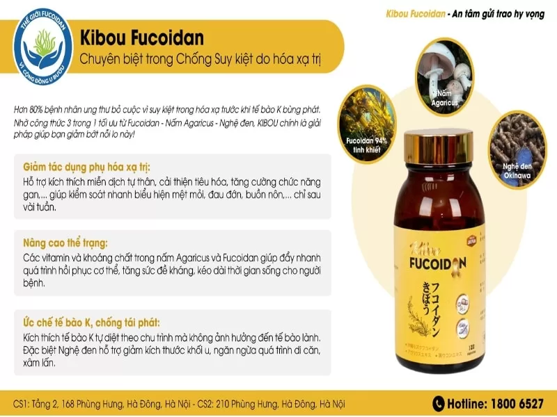 Kibou Fucoidan giảm tác dụng phụ xạ trị Kibou Fucoidan giảm tác dụng phụ xạ trị