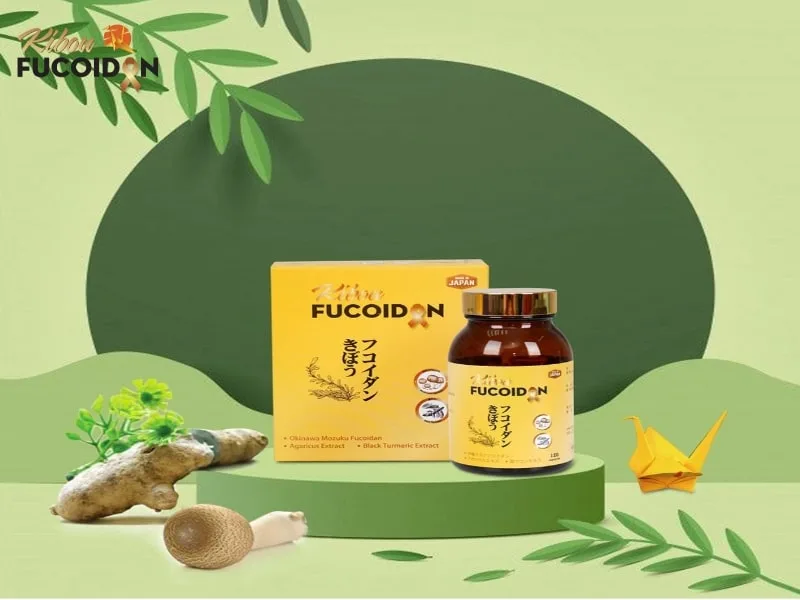 Kibou Fucoidan nghệ đen tăng đề kháng giảm tác dụng phụ ung thư Kibou Fucoidan tăng cường đề kháng
