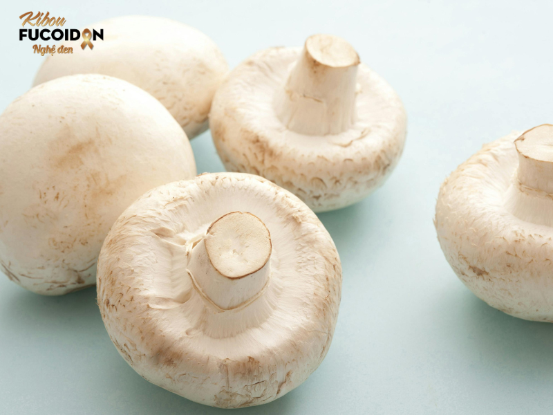 So sánh Kibou Fucoidan và Umi No Shizuku - Đâu là lựa chọn tốt hơn? Kibou Fucoidan hiệp đồng tác dụng với Fucoidan,nấm thái dương và nghệ đen