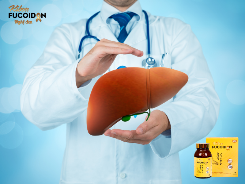 Kibou fucoidan tăng cường miễn dịch, bảo vệ gan