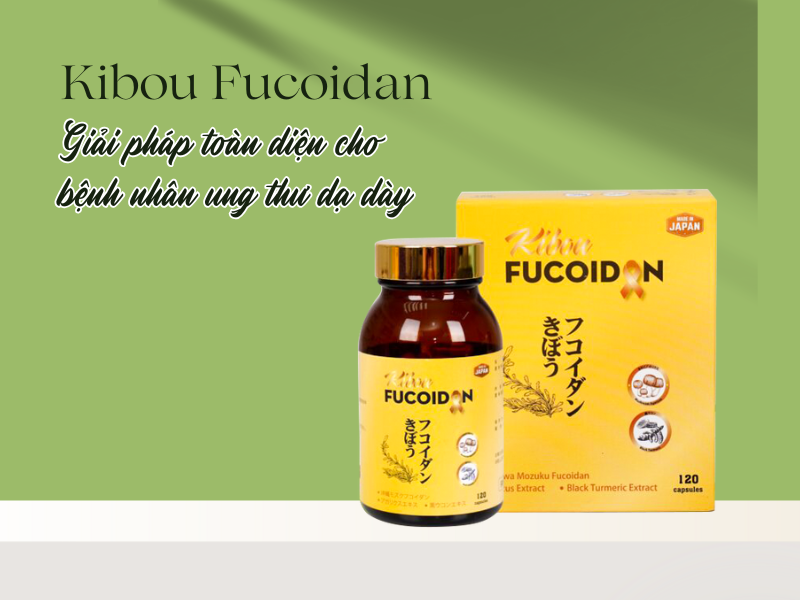 Kibou Fucoidan – Giải pháp toàn diện cho bệnh nhân ung thư dạ dày