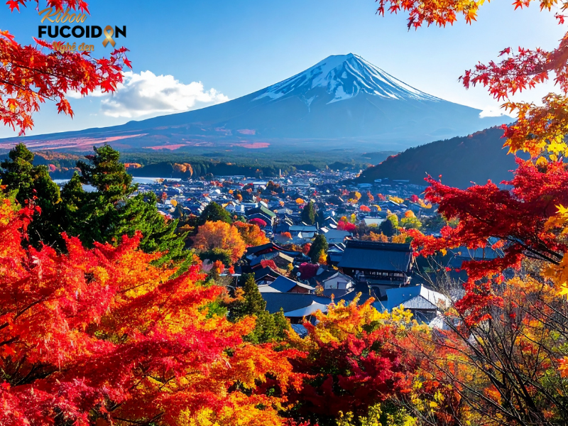 Fucoidan có tác dụng phụ không? Sự thật cần biết trước khi sử dụng Nhiều nghiên cứu tại Nhật Bản đã đươc thực hiện về Fucoidan