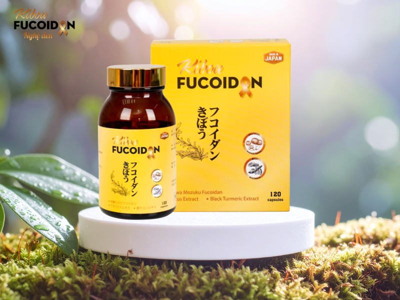 THỰC PHẨM TĂNG SỨC ĐỀ KHÁNG CHO NGƯỜI UNG THƯ Kibou Fucoidan giúp tăng đề kháng cho người ung thư