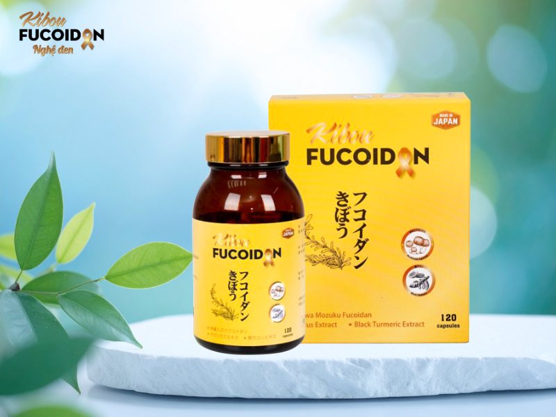 UNG THƯ DẠ DÀY NÊN ĂN GÌ? LỜI GIẢI CHO NỖI LO "MÙA TIỆC TÙNG" Kibou Fucoiodan giúp hỗ trợ ung thư dạ dày